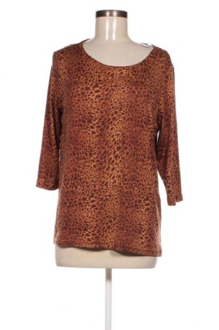 Γυναικεία μπλούζα Janina, Μέγεθος M, Χρώμα Πολύχρωμο, Τιμή 2,12 €
