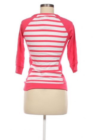Damen Shirt Kangaroos, Größe XS, Farbe Mehrfarbig, Preis 15,53 €