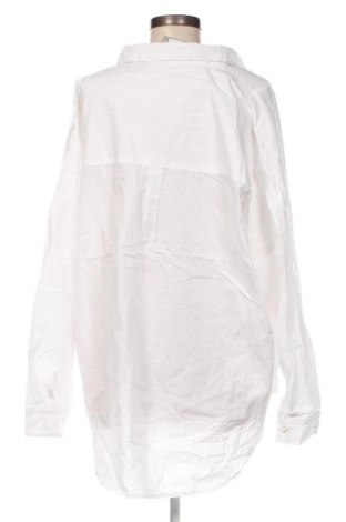 Γυναικεία μπλούζα Katies, Μέγεθος XXL, Χρώμα Λευκό, Τιμή 19,18 €
