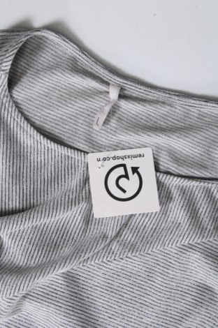 Damen Shirt Laura Torelli, Größe L, Farbe Grau, Preis 9,72 €