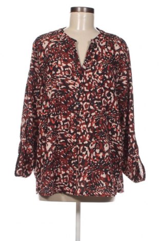 Γυναικεία μπλούζα Lola Liza, Μέγεθος XL, Χρώμα Πολύχρωμο, Τιμή 4,16 €