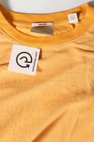 Γυναικεία μπλούζα Maison Scotch, Μέγεθος L, Χρώμα Πορτοκαλί, Τιμή 12,08 €