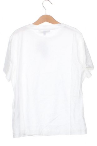 Damen Shirt Maje, Größe XS, Farbe Mehrfarbig, Preis € 108,76
