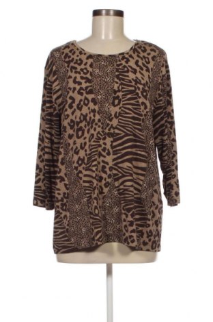 Γυναικεία μπλούζα Malva, Μέγεθος XL, Χρώμα Καφέ, Τιμή 11,75 €