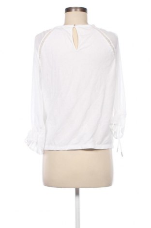 Damen Shirt Marc Cain, Größe S, Farbe Weiß, Preis € 30,01