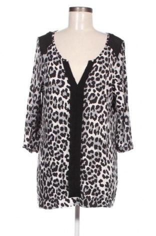 Γυναικεία μπλούζα Next, Μέγεθος XL, Χρώμα Πολύχρωμο, Τιμή 5,89 €