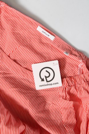 Γυναικεία μπλούζα Opus, Μέγεθος L, Χρώμα Πορτοκαλί, Τιμή 21,03 €