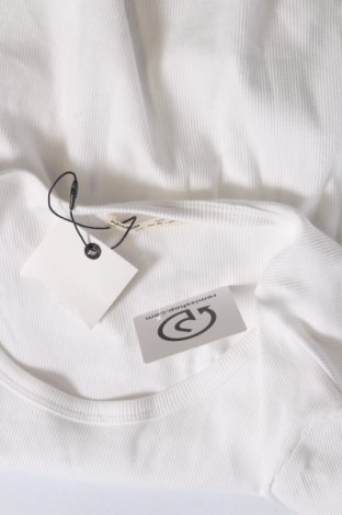 Damen Shirt Pull&Bear, Größe XL, Farbe Weiß, Preis 5,27 €