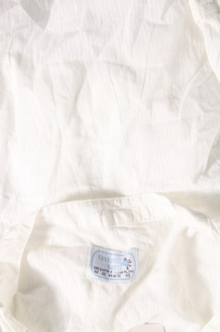 Damen Shirt TCM, Größe L, Farbe Weiß, Preis 13,22 €