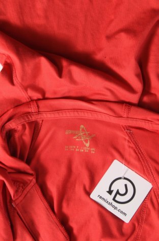 Γυναικεία μπλούζα TCM, Μέγεθος XS, Χρώμα Πορτοκαλί, Τιμή 11,60 €