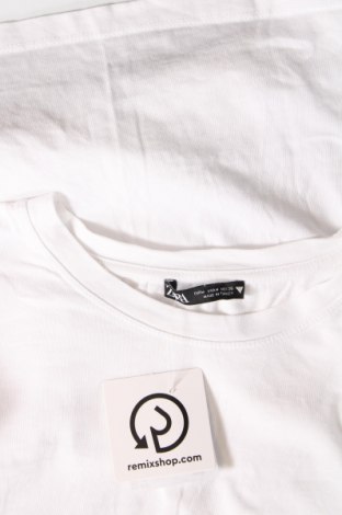 Γυναικεία μπλούζα Zara, Μέγεθος M, Χρώμα Εκρού, Τιμή 7,67 €
