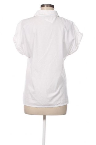 Γυναικείο πουκάμισο Blue Motion, Μέγεθος L, Χρώμα Λευκό, Τιμή 10,23 €