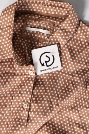 Γυναικείο πουκάμισο Brax, Μέγεθος M, Χρώμα Καφέ, Τιμή 18,93 €