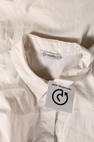 Dámska košeľa  Cappelletti, Veľkosť L, Farba Béžová, Cena  30,62 €
