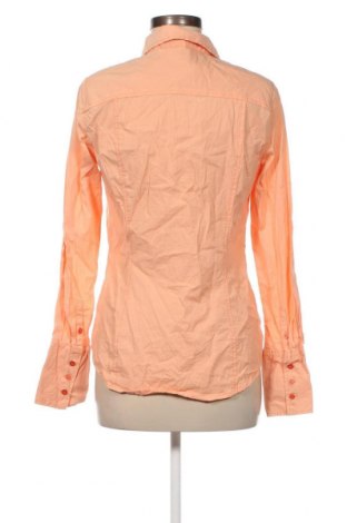 Γυναικείο πουκάμισο Colours Of The World, Μέγεθος M, Χρώμα Πορτοκαλί, Τιμή 5,72 €
