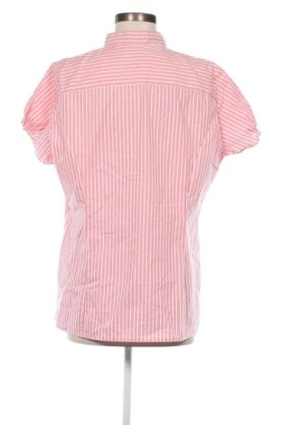 Γυναικείο πουκάμισο Flame, Μέγεθος XXL, Χρώμα Ρόζ , Τιμή 15,46 €
