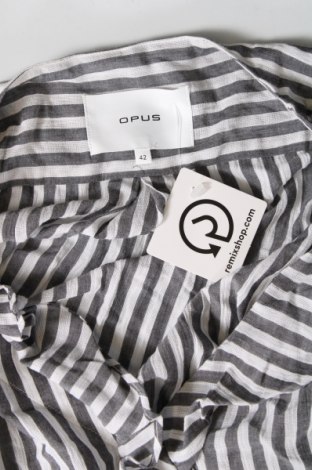 Dámska košeľa  Opus, Veľkosť L, Farba Viacfarebná, Cena  13,69 €