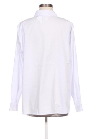 Γυναικείο πουκάμισο Paola, Μέγεθος XL, Χρώμα Λευκό, Τιμή 12,83 €