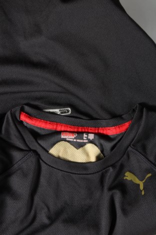 Damen T-Shirt PUMA, Größe S, Farbe Schwarz, Preis 13,92 €