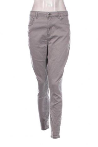 Damen Jeans Denim Co., Größe XL, Farbe Grau, Preis 8,27 €