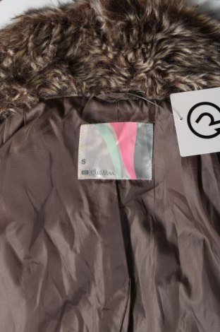 Γυναικείο γιλέκο, Μέγεθος S, Χρώμα Πολύχρωμο, Τιμή 6,93 €