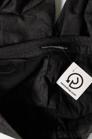 Damen Shorts Drykorn for beautiful people, Größe M, Farbe Grau, Preis € 9,54