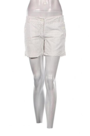 Γυναικείο κοντό παντελόνι Miss Posh, Μέγεθος M, Χρώμα Πολύχρωμο, Τιμή 7,67 €