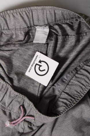 Γυναικείο κοντό παντελόνι Sports, Μέγεθος M, Χρώμα Γκρί, Τιμή 3,64 €