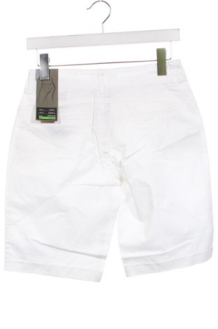 Damen Shorts Street One, Größe XS, Farbe Weiß, Preis 37,11 €