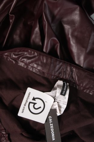 Dámske kožené nohavice  Calzedonia, Veľkosť S, Farba Fialová, Cena  44,50 €