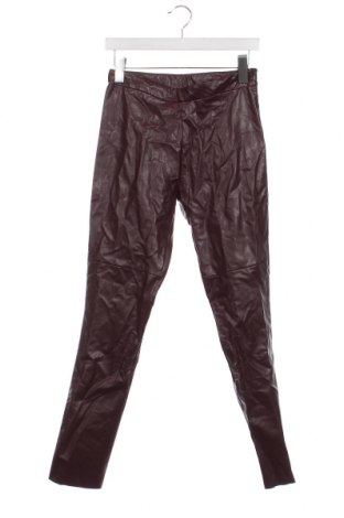 Dámske kožené nohavice  Calzedonia, Veľkosť S, Farba Fialová, Cena  44,50 €