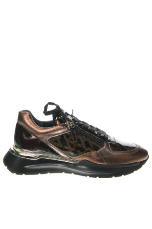 Γυναικεία παπούτσια Hogl, Μέγεθος 37, Χρώμα Πολύχρωμο, Τιμή 59,80 €