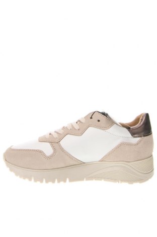 Damenschuhe Tamaris, Größe 37, Farbe Mehrfarbig, Preis 60,31 €