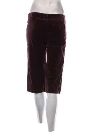 Дамски панталон BCBG Max Azria, Размер M, Цвят Лилав, Цена 17,19 лв.