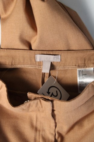 Damenhose H&M, Größe S, Farbe Braun, Preis 4,15 €