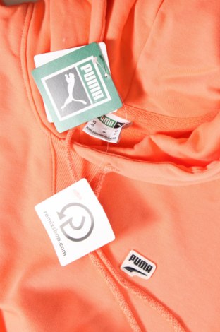 Damen Sweatshirt PUMA, Größe XS, Farbe Orange, Preis 52,58 €