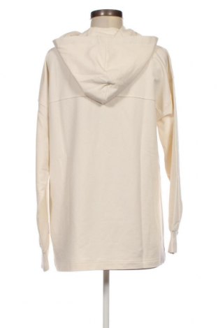 Damen Sweatshirt Venice Beach, Größe S, Farbe Ecru, Preis € 8,97