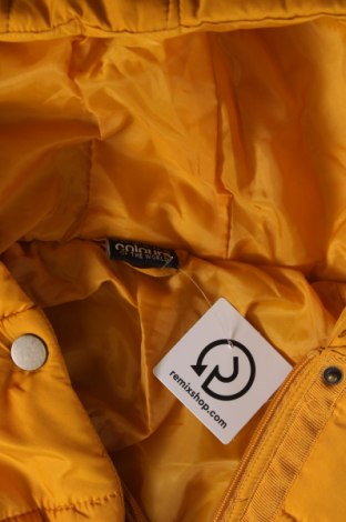 Γυναικείο μπουφάν Colours Of The World, Μέγεθος XL, Χρώμα Κίτρινο, Τιμή 35,88 €