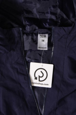 Dámska bunda  Now, Veľkosť L, Farba Modrá, Cena  7,08 €