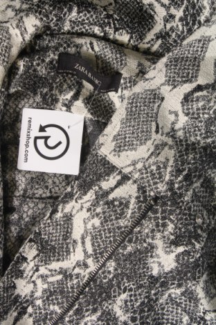 Γυναικείο μπουφάν Zara, Μέγεθος M, Χρώμα Πολύχρωμο, Τιμή 24,80 €