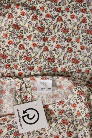 Kinder Shirt Zara, Größe 13-14y/ 164-168 cm, Farbe Mehrfarbig, Preis 11,06 €