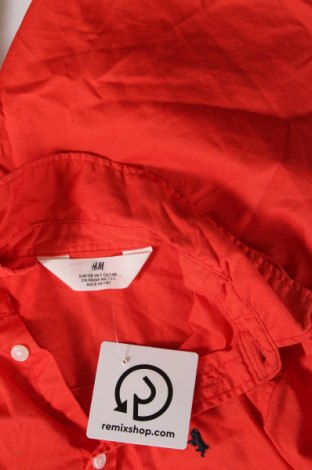 Kinderhemd H&M, Größe 7-8y/ 128-134 cm, Farbe Orange, Preis 11,76 €