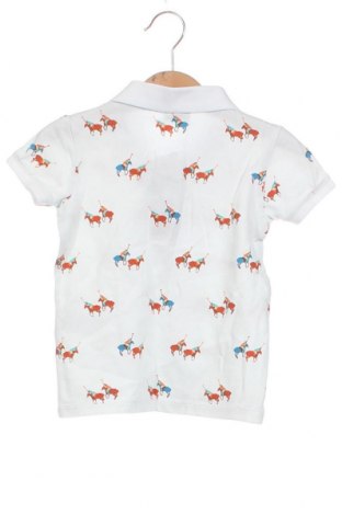 Kinder T-Shirt U.S. Polo Assn., Größe 2-3y/ 98-104 cm, Farbe Weiß, Preis 37,14 €