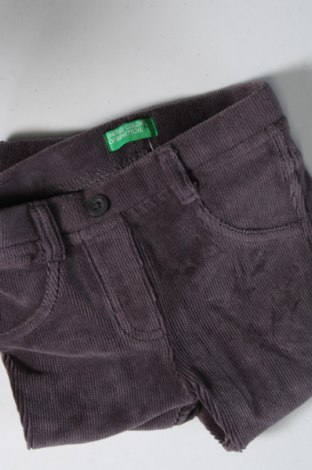 Pantaloni de catifea reiată, pentru copii United Colors Of Benetton, Mărime 9-12m/ 74-80 cm, Culoare Gri, Preț 10,56 Lei