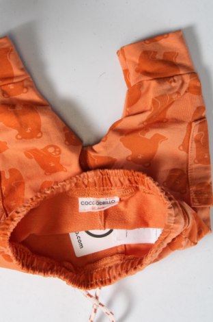 Dziecięce spodnie Coccodrillo, Rozmiar 1-2m/ 50-56 cm, Kolor Pomarańczowy, Cena 73,89 zł
