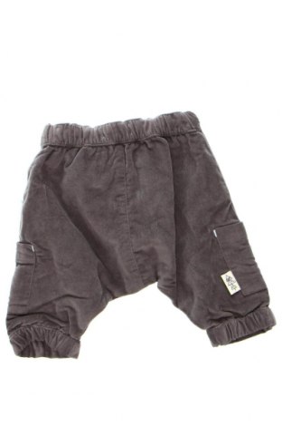 Dziecięce spodnie Du Pareil Au Meme, Rozmiar 1-2m/ 50-56 cm, Kolor Szary, Cena 95,96 zł