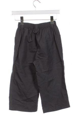 Pantaloni de trening, pentru copii Head, Mărime 10-11y/ 146-152 cm, Culoare Gri, Preț 188,27 Lei