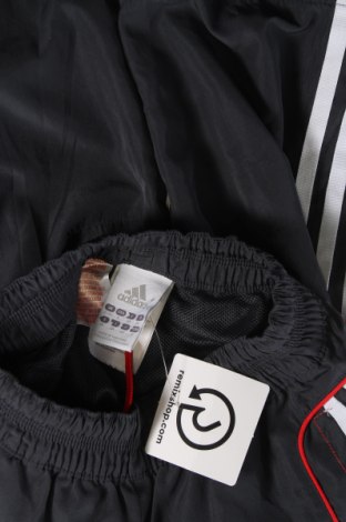 Kinder Sporthose Adidas, Größe 2-3y/ 98-104 cm, Farbe Grau, Preis 9,72 €
