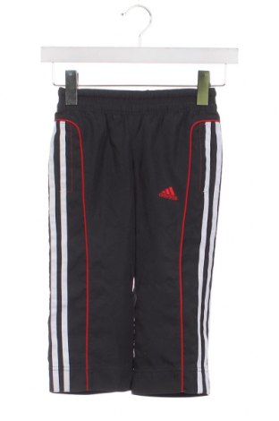 Detské tepláky Adidas, Veľkosť 2-3y/ 98-104 cm, Farba Sivá, Cena  5,83 €