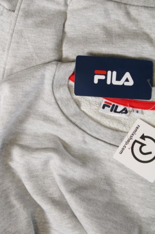 Ανδρική μπλούζα FILA, Μέγεθος S, Χρώμα Γκρί, Τιμή 13,92 €